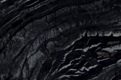 Dark-Forest