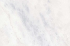 white-pigon